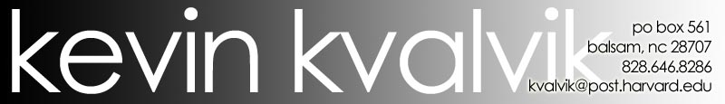 Kevin Kvalvik CV Header