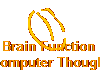 Brain Function  
 Computer Thought