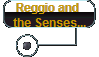 Reggio and 
the Senses...