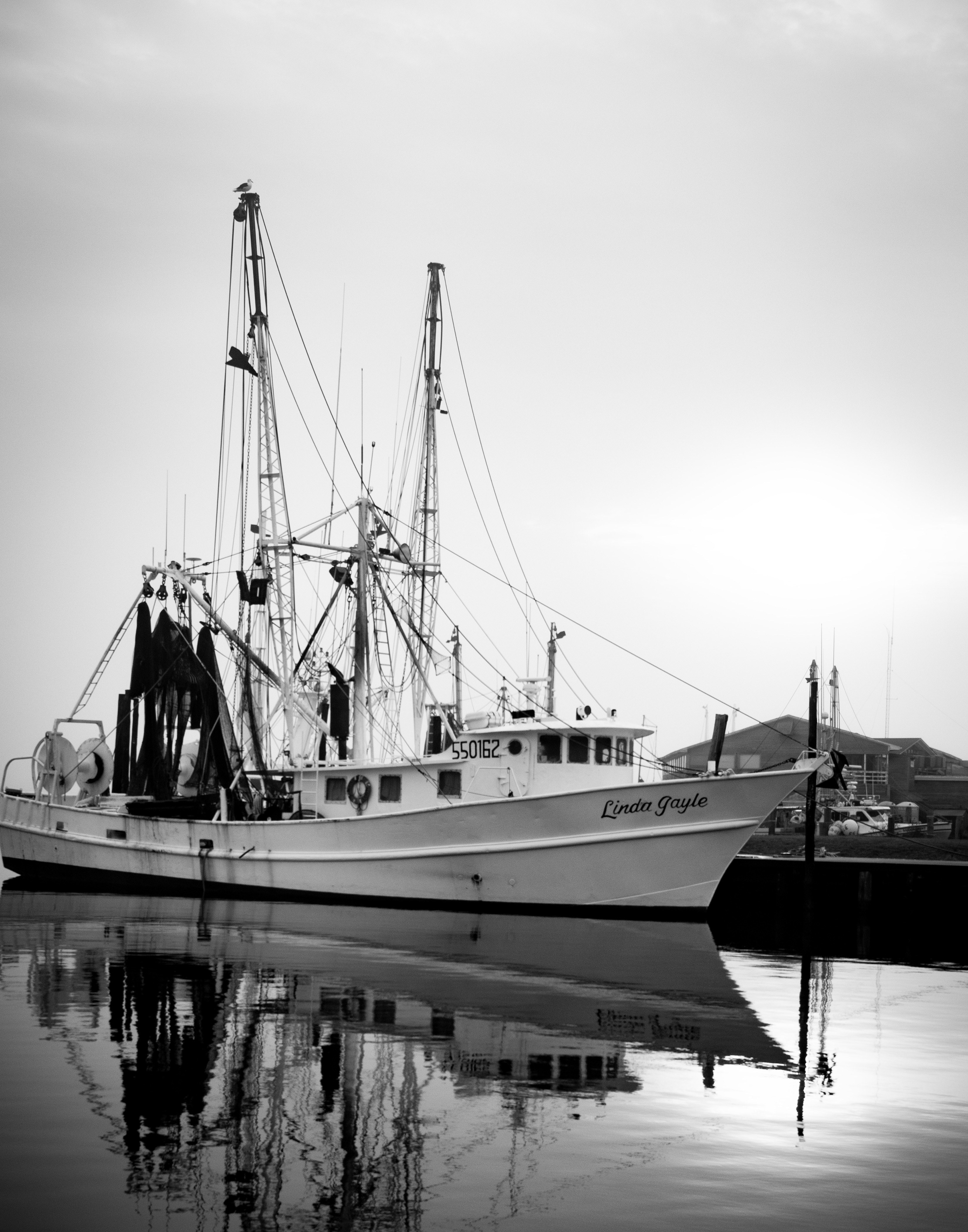 Black & White Ship