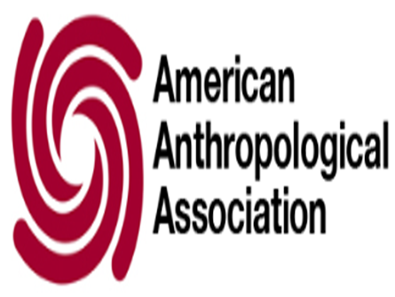 American Anthropological Association